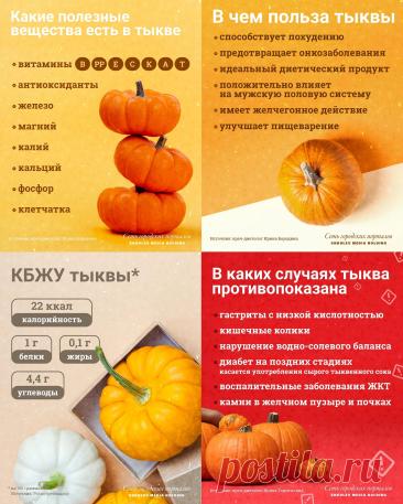 Тыква: польза и вред