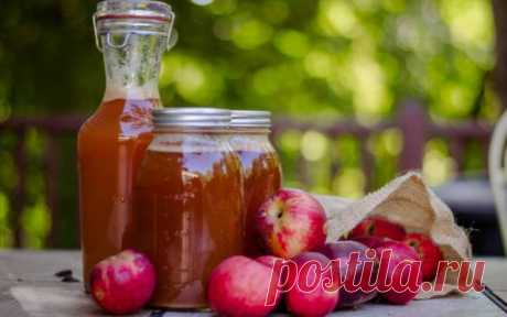 Рецепты домашнего сидра — Сад Заготовка