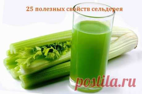 25 полезных свойств сельдерея