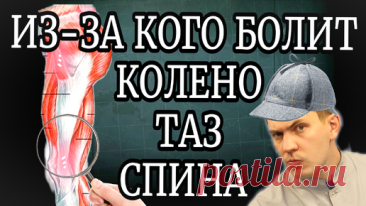 Вылечи эту мышцу и БОЛЬ в КОЛЕНЯХ, области ТАЗОБЕДРЕННЫХ суставов и даже ПОЯСНИЦЫ уйдёт | ✅ ГРИГОРИЙ ИГНАТЬЕВ | ЛФК | Дзен