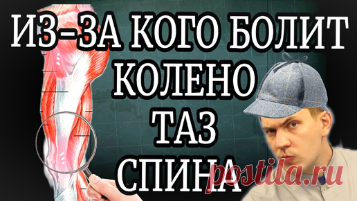 Вылечи эту мышцу и БОЛЬ в КОЛЕНЯХ, области ТАЗОБЕДРЕННЫХ суставов и даже ПОЯСНИЦЫ уйдёт | ✅ ГРИГОРИЙ ИГНАТЬЕВ | ЛФК | Дзен