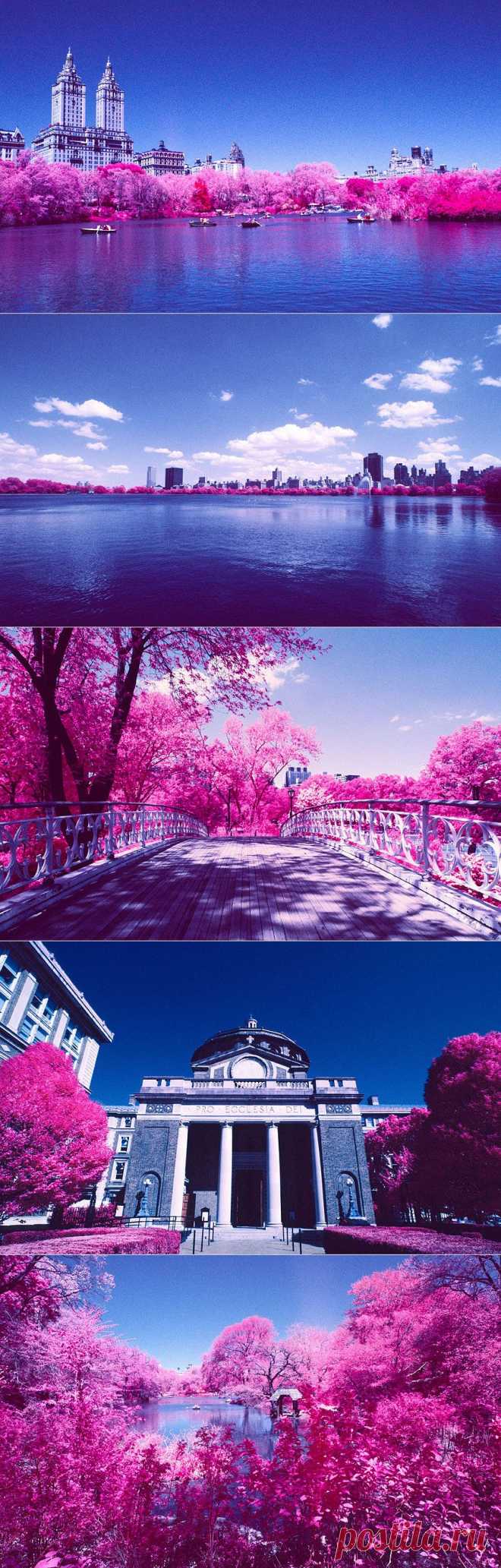 » Пейзажи с помощью инфракрасной пленки Kodak Это интересно!