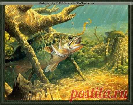 Редактировать описание