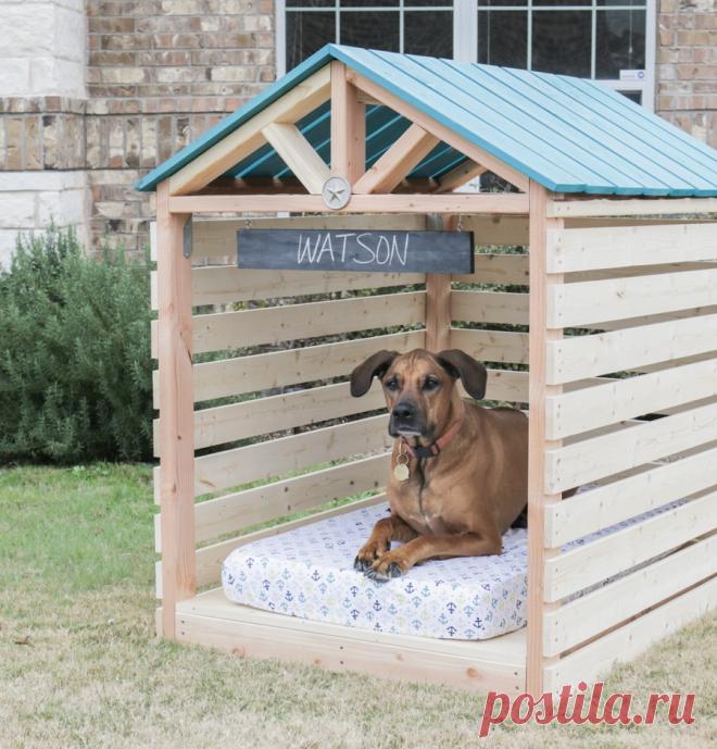 Будка для собаки своими руками: 10 пошаговых инструкций с чертежами