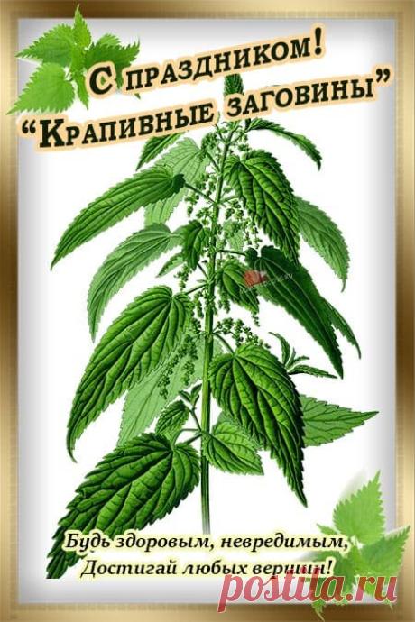 С Крапивным заговеньем! Пусть этот день принесет много радости и тепла в ваш дом. Открытки на Крапивное заговенье!