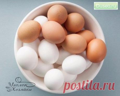 20 суперских фактов-подсказок, с которыми вы не пропадёте | Dusea.ru | Первый женский