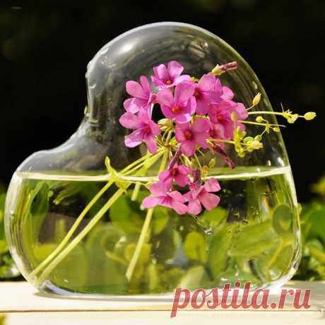 КОЙ СЕГОДНЯ ПРАЗДНИК? 23 Июля 2017 г. – Воскресенье • День заливной тоски • Всемирный день китов и дельфинов31 год • День жмурок с ярким светом • День специальных моторизированных воинских частей (СМВЧ) внутренних войск МВД РФ51 год • День работника специального учета уголовно-исполнительной системы • Годовщина революции - Египет • День Государственного флага - Абхазия • День работников СМИ - Южная Осетия • Именины у Антония, Александра, Даниила, Леонтия, Петра • Антоний Громоносец