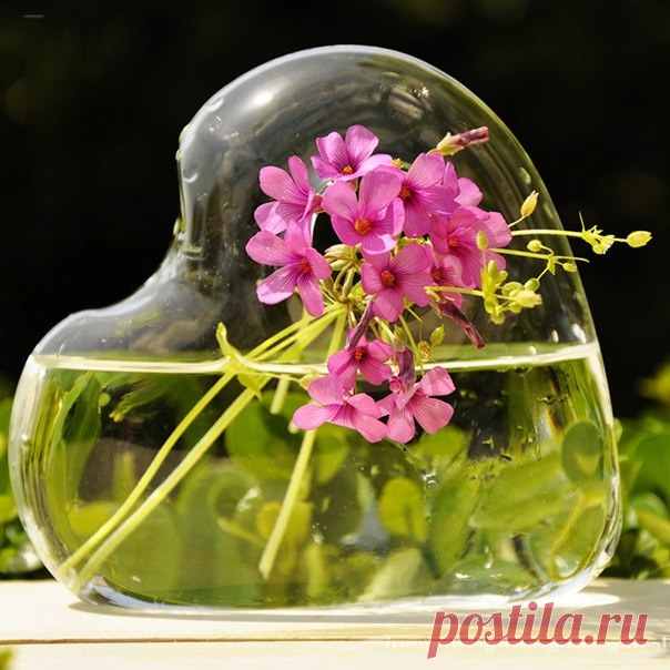 КОЙ СЕГОДНЯ ПРАЗДНИК? 23 Июля 2017 г. – Воскресенье • День заливной тоски • Всемирный день китов и дельфинов31 год • День жмурок с ярким светом • День специальных моторизированных воинских частей (СМВЧ) внутренних войск МВД РФ51 год • День работника специального учета уголовно-исполнительной системы • Годовщина революции - Египет • День Государственного флага - Абхазия • День работников СМИ - Южная Осетия • Именины у Антония, Александра, Даниила, Леонтия, Петра • Антоний Громоносец