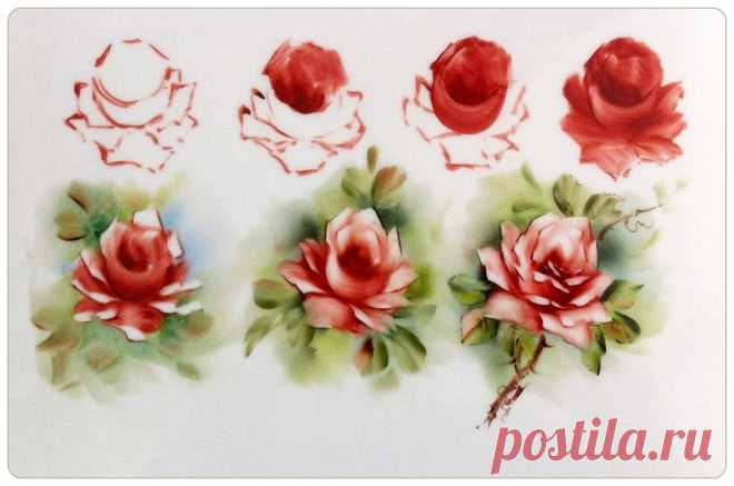 Rose. China painting. Шаг за шагом. Шикарная подборка.