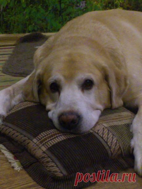 поели, теперь можно и телевизор посмотреть