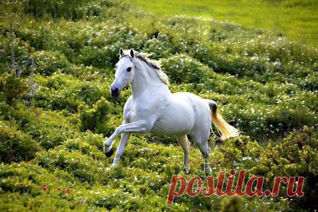 Одноклассники