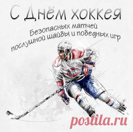 Поздравляю с днём хоккея,
За тебя всегда болею.
Забивай победный гол —
Пусть завидует футбол.