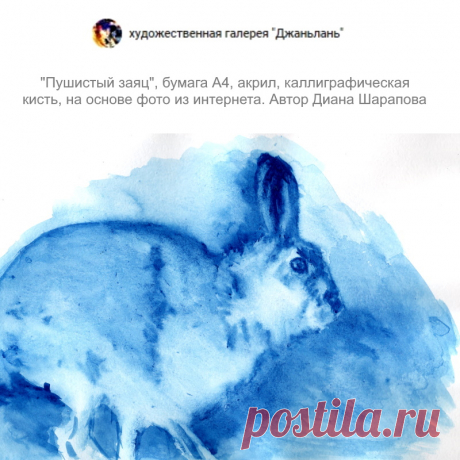 заяц