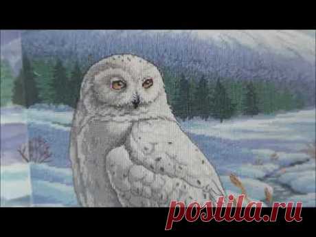 Новый старт LanArte PN-0157518 Сова. #LanArte