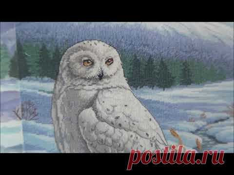 Новый старт LanArte PN-0157518 Сова. #LanArte