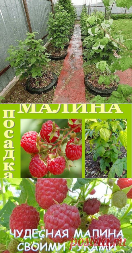 (77) Одноклассники