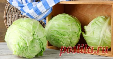 Квашеная капуста: необычный рецепт Такую капусту я готовлю уже третий год подряд. Очень хорошо идет в зимний период, особенно под картошечку.