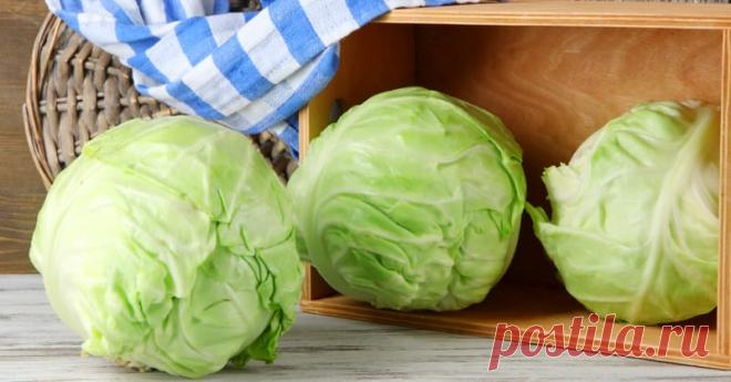 Квашеная капуста: необычный рецепт Такую капусту я готовлю уже третий год подряд. Очень хорошо идет в зимний период, особенно под картошечку.