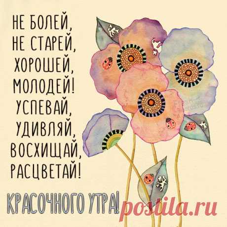Картинка красочного утра поздравление