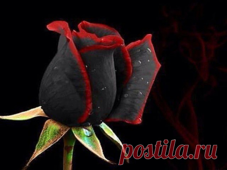 ВСЁ ЛУЧШЕЕ ИЗ YOU TUBE (16 плюс)
Natella Rustamova
