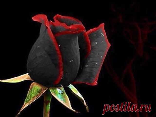 ВСЁ ЛУЧШЕЕ ИЗ YOU TUBE (16 плюс)
Natella Rustamova