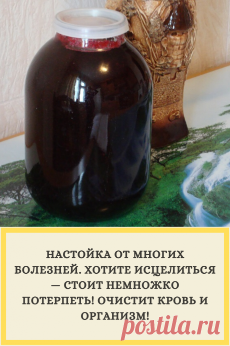 НАСТОЙКА ОТ МНОГИХ БОЛЕЗНЕЙ. ХОТИТЕ ИСЦЕЛИТЬСЯ — СТОИТ НЕМНОЖКО ПОТЕРПЕТЬ! ОЧИСТИТ КРОВЬ И ОРГАНИЗМ!