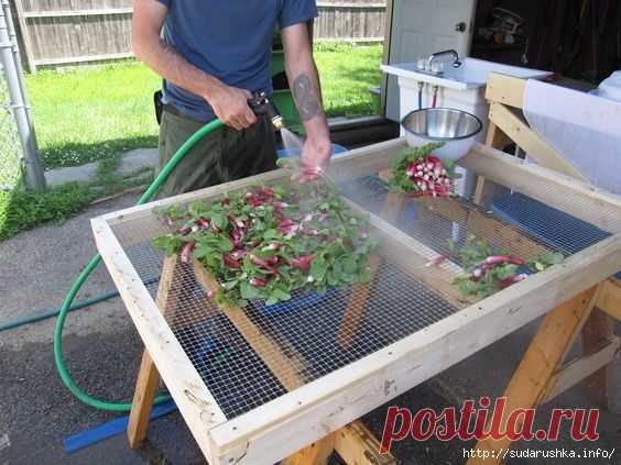 Самоделки для дачи