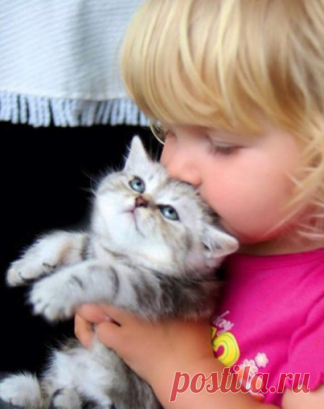 Мой Мир@Mail.Ru