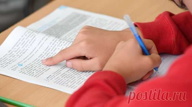 В России разработали цифровой помощник для обучения детей русскому языку