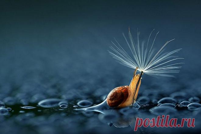 Как спрятаться от дождя