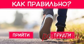 10 коварных глаголов, которые сразу же выдают невежду А вы все знаете?