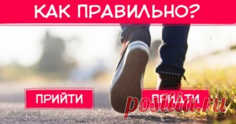 10 коварных глаголов, которые сразу же выдают невежду А вы все знаете?