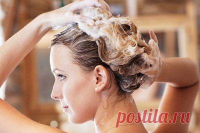 Как выглядеть дорого: 12 модных правил. Аналоги дорогостоящих косметических средств. Натуральные шампуни для волос.