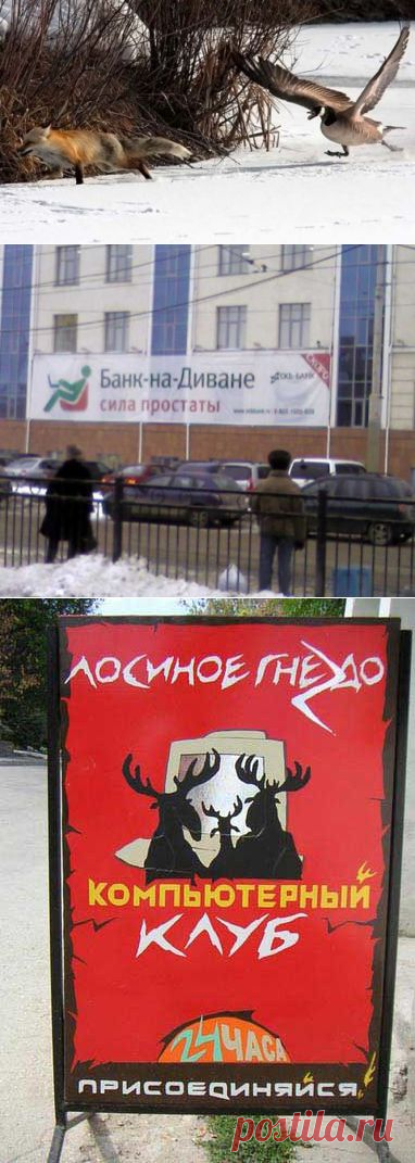 Почему прикол полезен для организма? | Как прекрасен этот мир