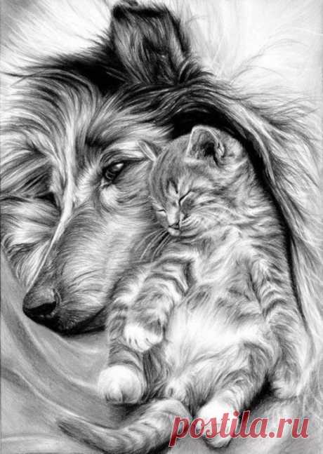 Рисунок карандашом.