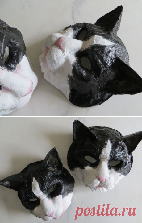 small canvases: The cat came back