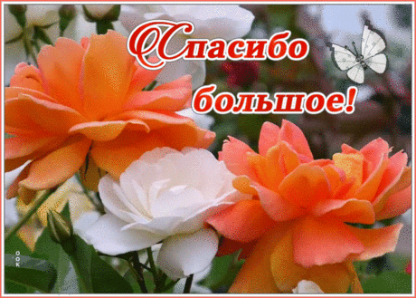 Картинка спасибо большое