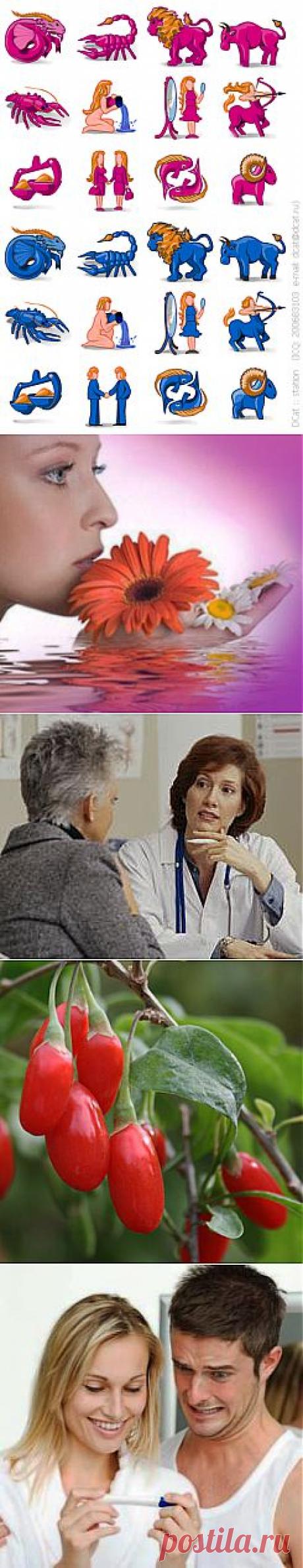 Полезные советы