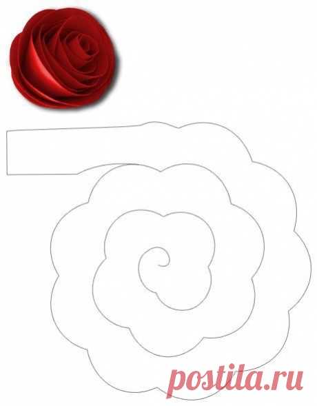 (12) Pinterest