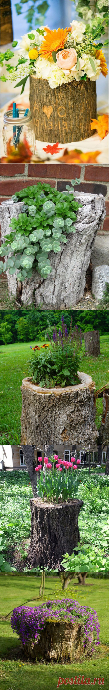 Лучшее украшение для дачи! — 6 соток