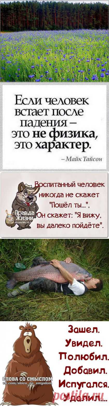 Татьяна: Не знаешь как жить - живи счастливо.