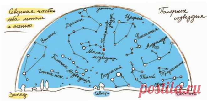 Как сделать, чтобы это лето запомнилось? Устройте ночные посиделки с детьми у костра с печенками и песнями под гитару. А потом нарисуйте карту звездного неба, которое у вас на головой.