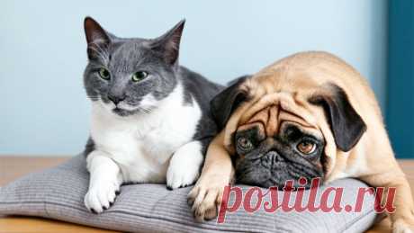 Прогноз на любовь - OGADANIE.RU