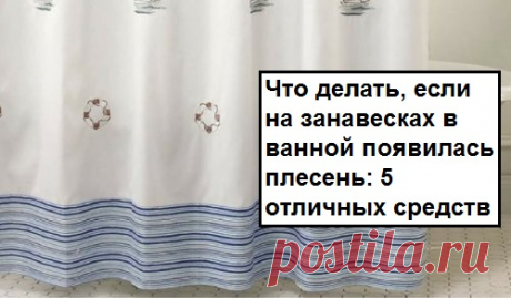 Что делать, если на занавесках в ванной появилась плесень: 5 отличных средств Плесень - злейший враг нашего здоровья, поэтому нужно всегда держать под рукой средства, которые позволяют быстро избавиться от нее...