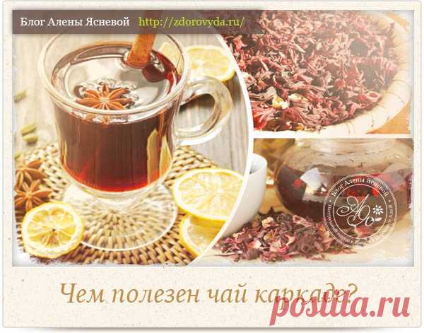 Чем полезен каркаде -раскрываем все секреты чая из гибискуса