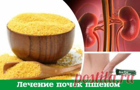 Лечение почек пшеном очень эффективно. Пшено выводит камни и песок из почек, из мочевого пузыря, лечит цистит, помогает при женских заболеваниях. 
Статья посвящена старинным, немного забытым методам лечения почек пшеном, которые можно применять 
и в наши дни. 
1. Стакан пшена промыть теплой водой, высыпать в 3-литровую банку и залить все горячей водой. После этого настаивать при комнатной температуре, укрыв чем-то теплым. На следующий день Вы увидите белую взвесь в воде. В...