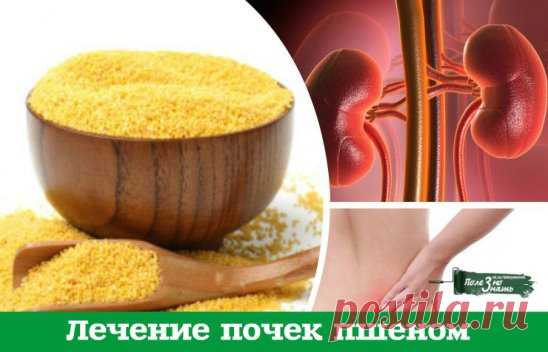 Лечение почек пшеном очень эффективно. Пшено выводит камни и песок из почек, из мочевого пузыря, лечит цистит, помогает при женских заболеваниях. 
Статья посвящена старинным, немного забытым методам лечения почек пшеном, которые можно применять 
и в наши дни. 
1. Стакан пшена промыть теплой водой, высыпать в 3-литровую банку и залить все горячей водой. После этого настаивать при комнатной температуре, укрыв чем-то теплым. На следующий день Вы увидите белую взвесь в воде. В...