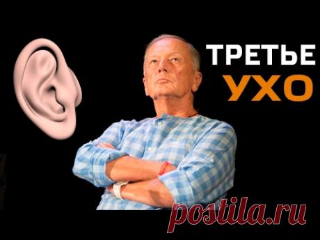 Концерт Михаила Задорнова &quot;Третье ухо&quot; - YouTube