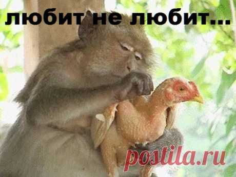 .................................