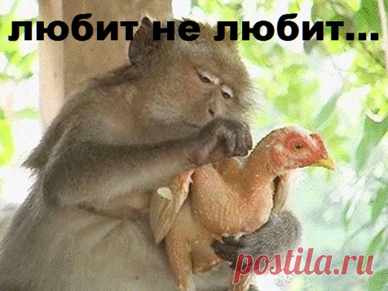 .................................